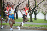 DS20080406_0215p.jpg