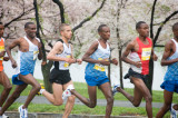 DS20080406_0216p.jpg