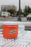 20080427_0878p.jpg
