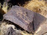 Day 2: Petroglyph National Monument