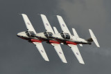 Snowbirds 10.jpg