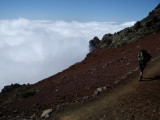 lapalma (95).jpg