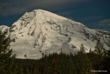 Mt Rainier from Longmire_02.jpg