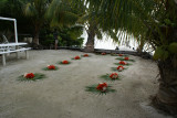 DSC03463.JPG