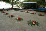 DSC03482.JPG