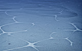 08 - frozen lake