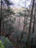 Mianus River Gorge (Bedford, NY)