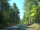 Lake Norman State Park road