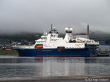 Geco Eagle