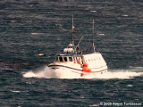 Tra TN 753
