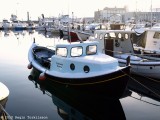 Ternhamar TN 1016