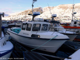 Havgsin TG 22