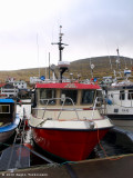 Thova VA 295