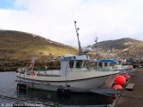 Hamraberg VA 316