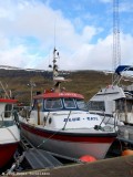 Skarvur VA 264