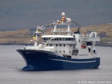Trndur  Gtu FD 175
