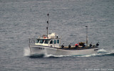 Hvessingur SA 350