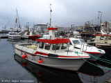 Bran TN 1244