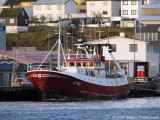Nnhamar KG 493