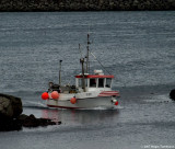 Brynhild TN 979