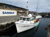 Hvessingur SA 350