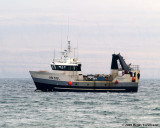 Sklafossur VN 559