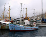 Julia TN 1130