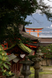 View towards O-torii gate through Itsukushima Shrine 2