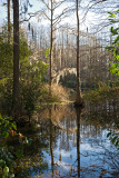 Greenfield Lake