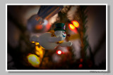 Wishing you all happy holidays and a prosperous new year!