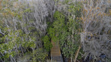 Okefenokee Swamp Eastern Side-06.jpg