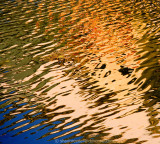 Ponte Vecchio Reflections