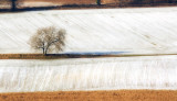 Snow textures, Painswick, Gloucs.