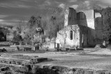 Roche Abbey(3), Notts.