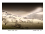 January Mist