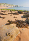 Barafundle Bay(2)