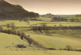 Late afternoon, Knapp Lane, Glos.