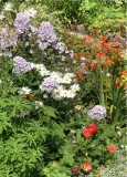 August Garden(2)