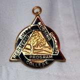 The pin