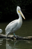 DSC_3909.jpg