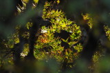 DSC_0897.JPG