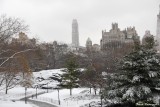 Central Park.jpg