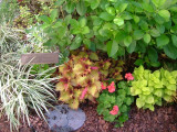 A detail of beautiful plants