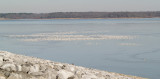 Arkabutla Gulls - 1-10-10 ice