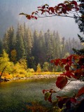 Merced_River_6.jpg