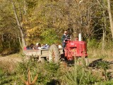 the tractor comes back to get us for the hay ride