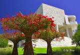 2007-7-19 Getty Ctr018.jpg