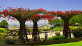 2007-7-19 Getty Ctr007.jpg