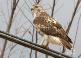 2007-11-3--086.jpg