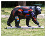 bear